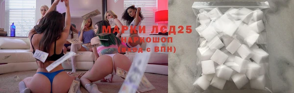 прущие грибы Алексин