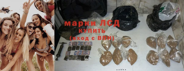 прущие грибы Алексин