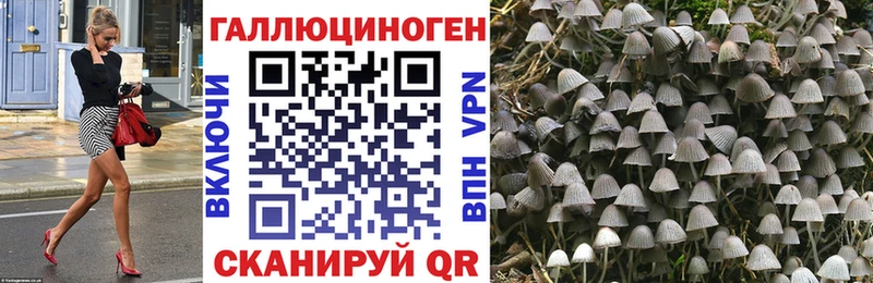 Галлюциногенные грибы мицелий  Пенза 