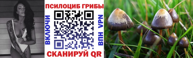 Псилоцибиновые грибы мухоморы Пенза